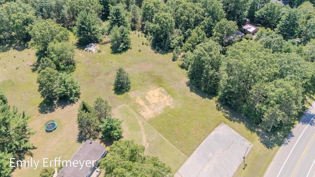 7142 Holton Rd, Twin Lake, MI 49457 - photo 4