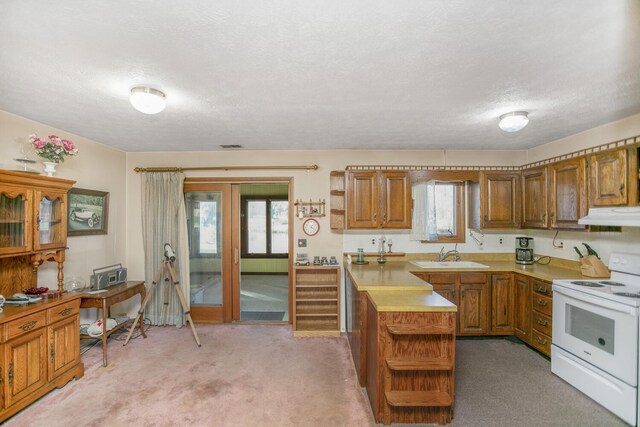 kitchen featuring sink, range hood, white range with electric stovetop, a textured ceiling, and light carpet