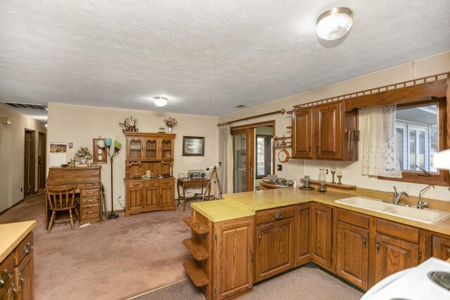 kitchen with kitchen peninsula, light colored carpet, a wealth of natural light, and sink