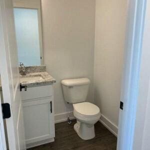 bathroom featuring vanity, toilet, and wood-type flooring