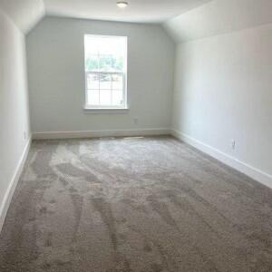 additional living space featuring carpet and vaulted ceiling