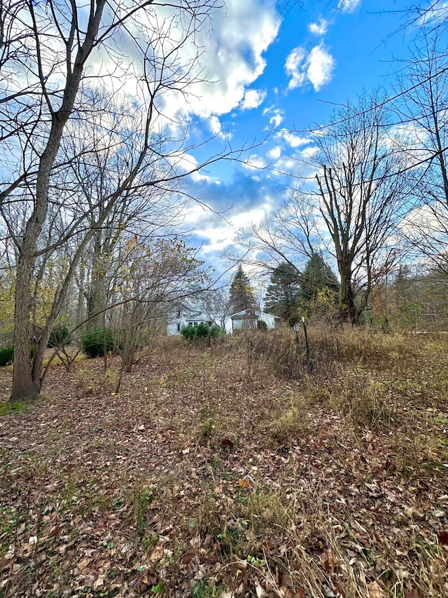 view of local wilderness