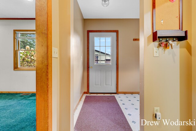 doorway with carpet and plenty of natural light