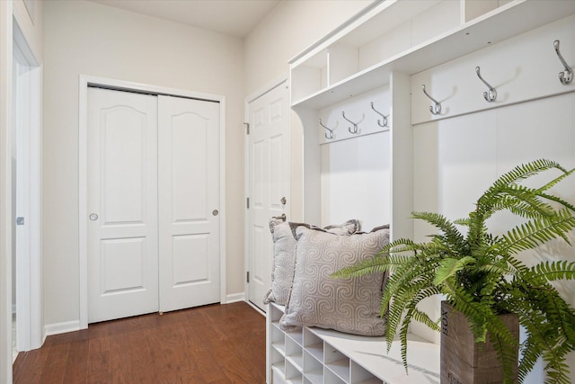 mudroom with dark hardwood / wood-style flooring