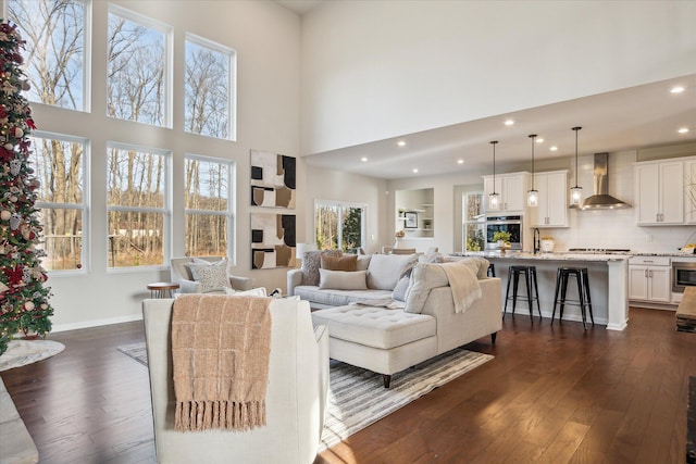 living room with sink, a high ceiling, and dark hardwood / wood-style floors