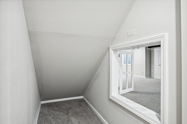 interior space with carpet flooring and lofted ceiling