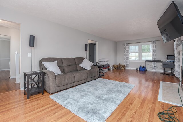 living room with wood-type flooring