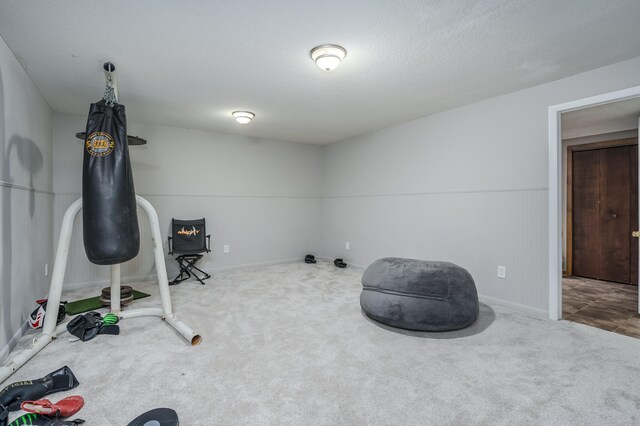 misc room featuring carpet flooring and a textured ceiling