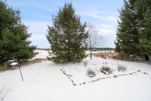 view of yard covered in snow