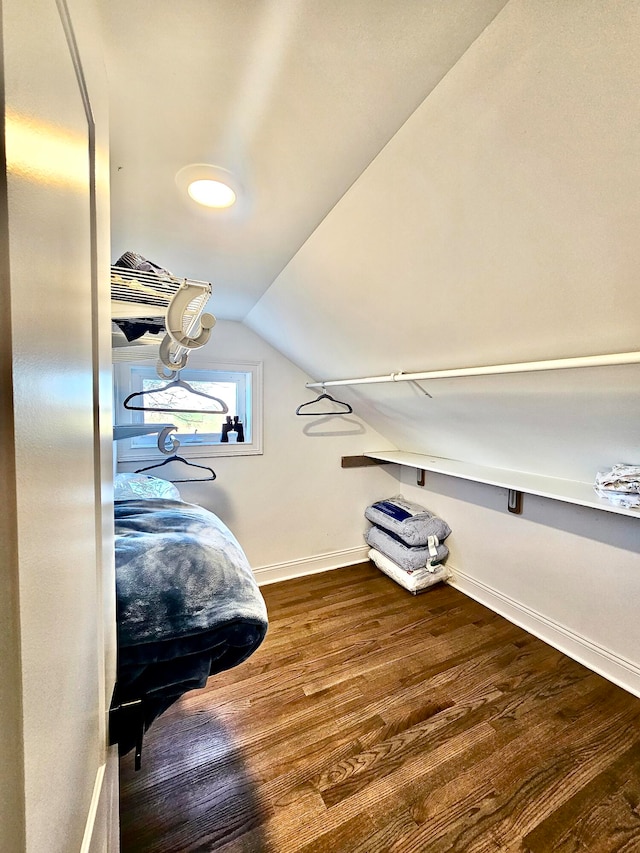 spacious closet with wood-type flooring and vaulted ceiling