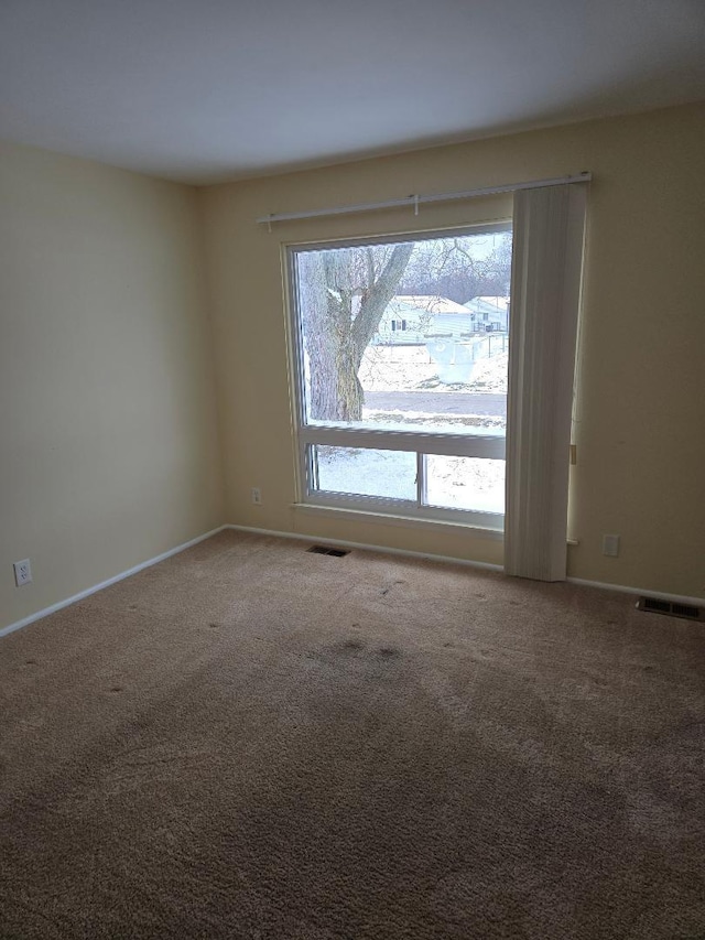 carpeted spare room with plenty of natural light