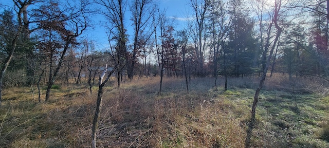 V/L Cherry St, Baldwin MI, 49304 land for sale