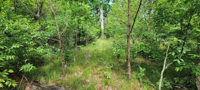 V/L Cherry St, Baldwin, MI 49304