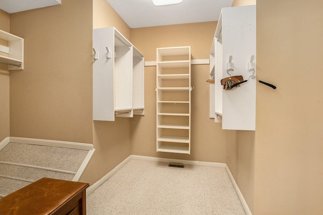 walk in closet with carpet floors