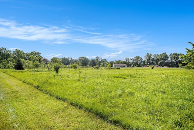 view of local wilderness featuring a rural view