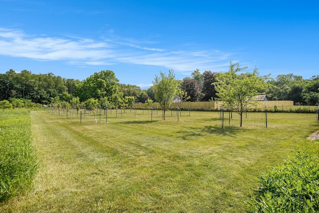 view of yard with a rural view