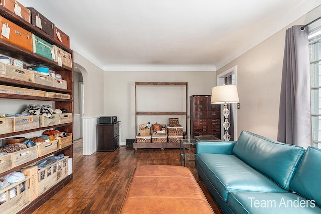 living room featuring dark hardwood / wood-style flooring