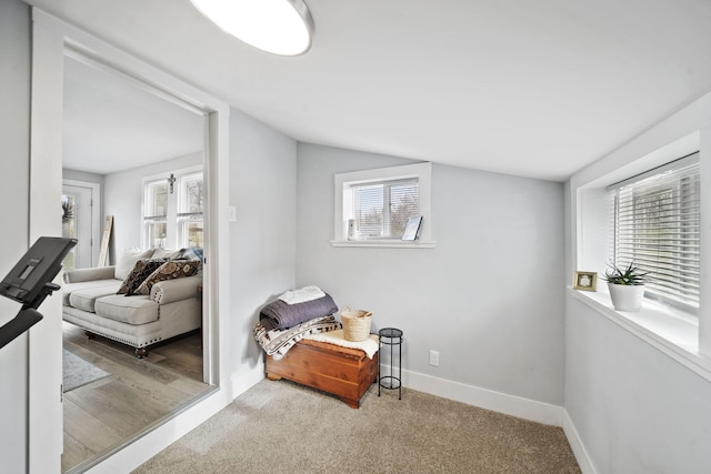 sitting room with carpet flooring, a wealth of natural light, and lofted ceiling