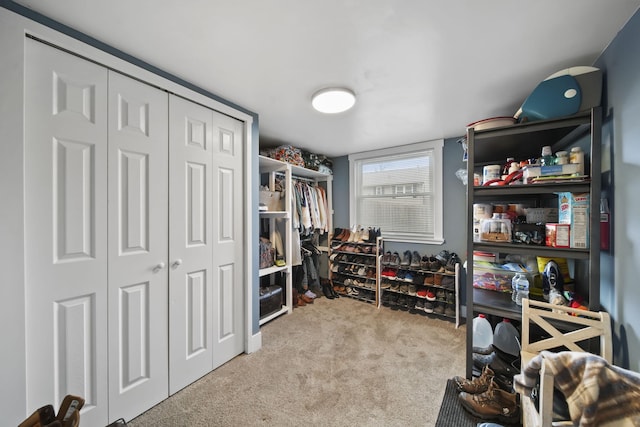 spacious closet with light colored carpet