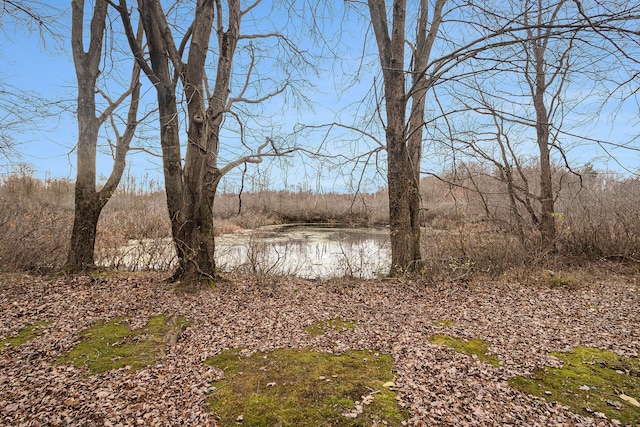 view of landscape with a water view