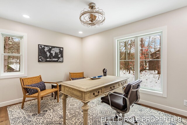 office featuring a healthy amount of sunlight and hardwood / wood-style flooring