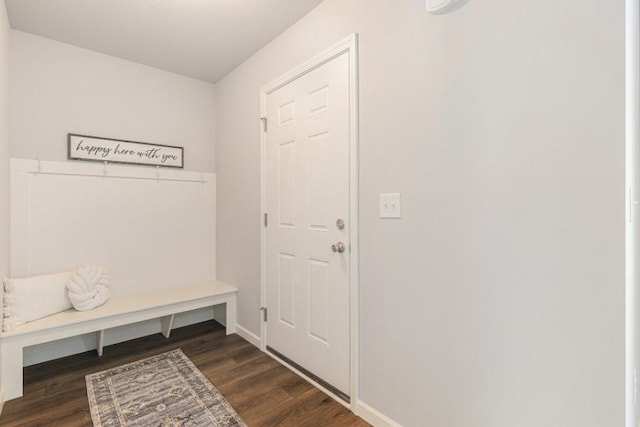 mudroom featuring dark hardwood / wood-style floors