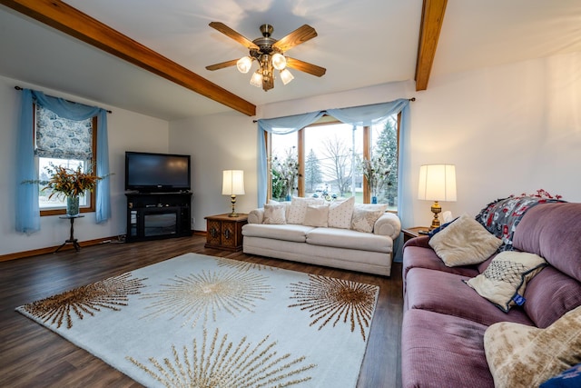 living room with ceiling fan, beamed ceiling, and dark hardwood / wood-style floors