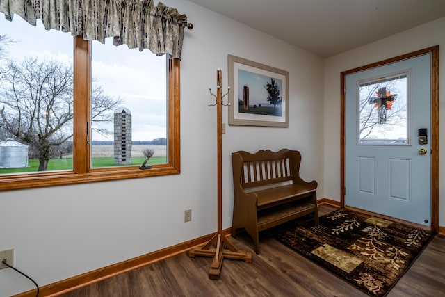 entryway featuring a healthy amount of sunlight and hardwood / wood-style flooring