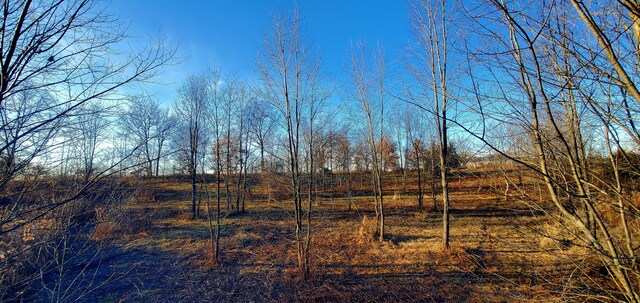 view of nature