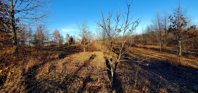 view of nature