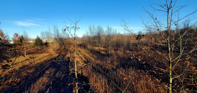 view of landscape