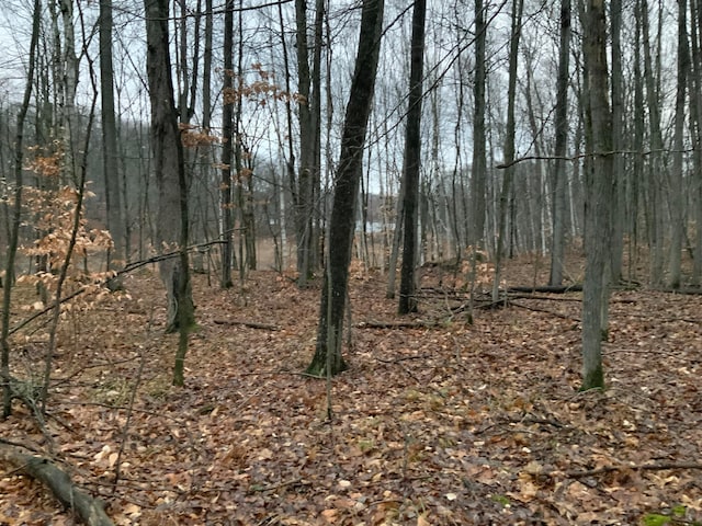 Bern Dr Lot 31, Reed City MI, 49677 land for sale