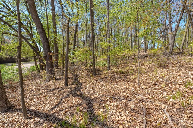 132 W Cork St, Kalamazoo, MI 49001