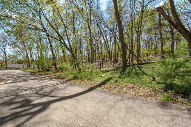 132 W Cork St, Kalamazoo, MI 49001