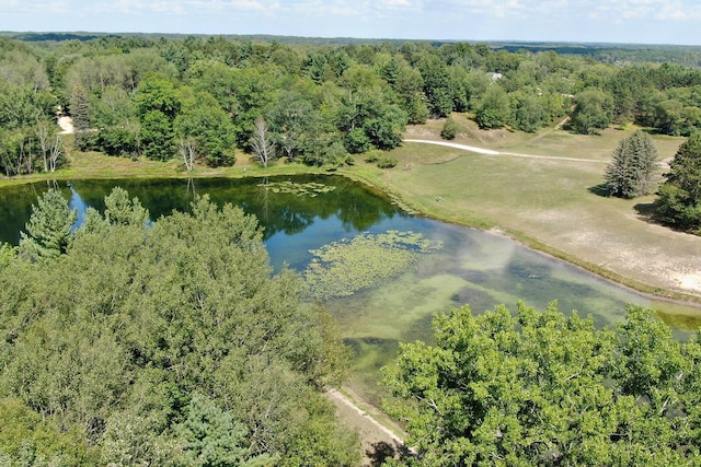 drone / aerial view with a water view and a view of trees