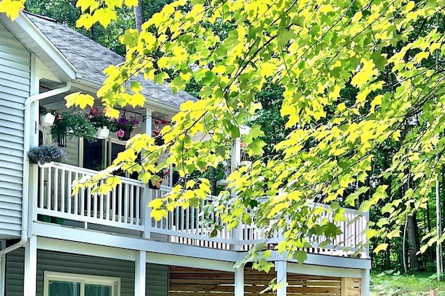 view of property exterior with roof with shingles