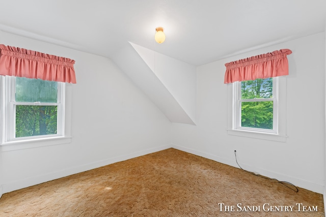 additional living space with carpet flooring, a wealth of natural light, and lofted ceiling