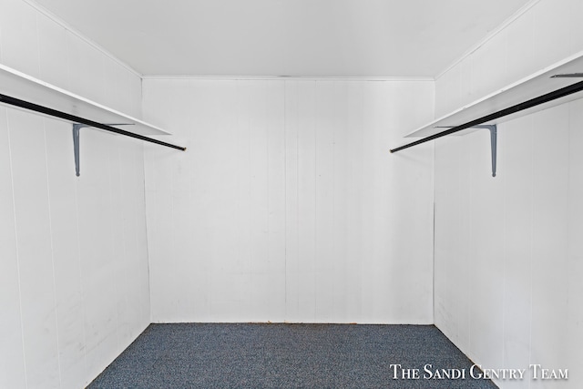 spacious closet with dark carpet