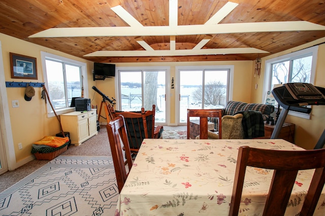 carpeted dining room featuring a healthy amount of sunlight and wooden ceiling