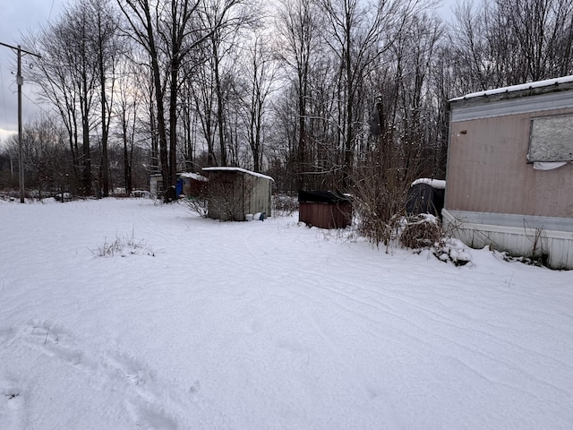 view of yard covered in snow