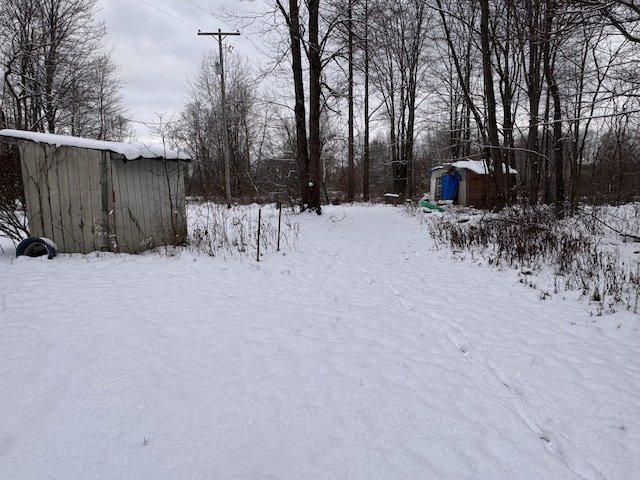 view of yard covered in snow