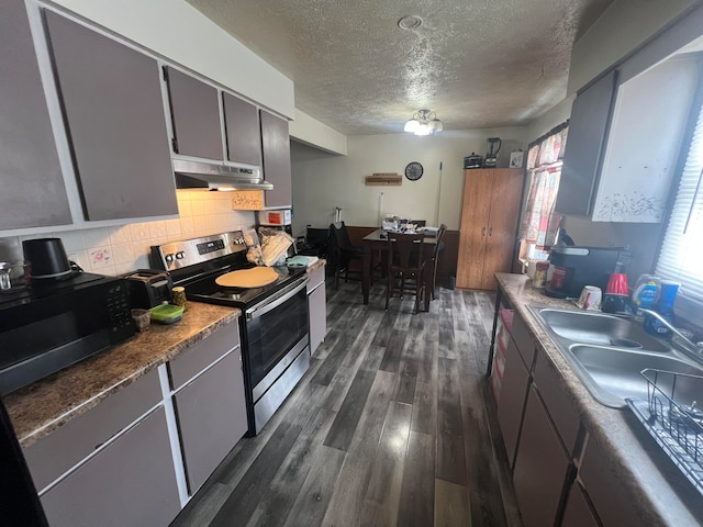 kitchen with sink, dark hardwood / wood-style floors, a wealth of natural light, and stainless steel electric range