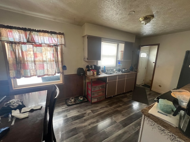 kitchen featuring a textured ceiling, dark hardwood / wood-style floors, and wood walls