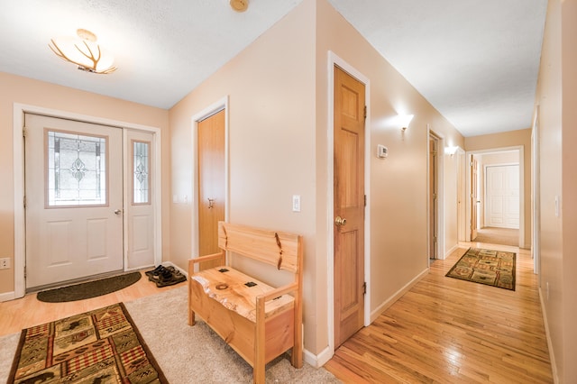 foyer entrance with light hardwood / wood-style flooring