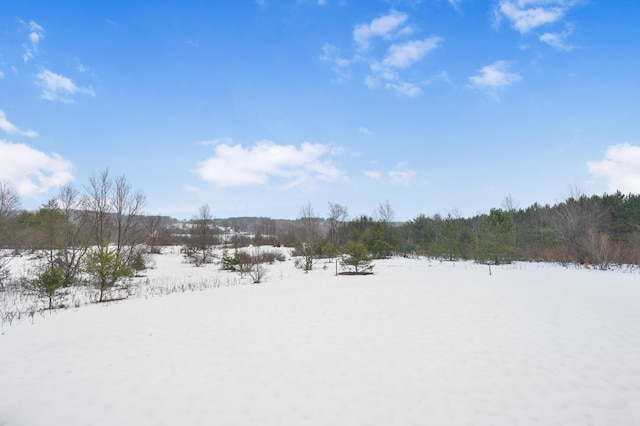 view of snowy yard