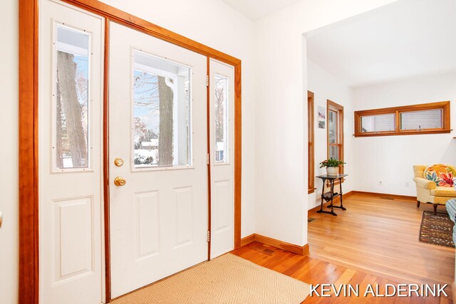 foyer with hardwood / wood-style flooring