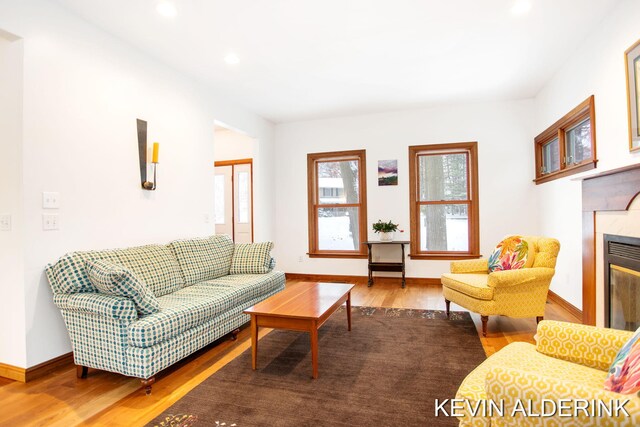 living room featuring a fireplace and wood-type flooring