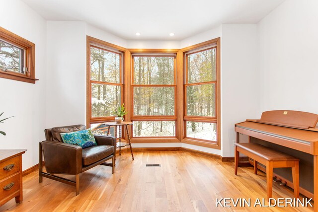 living area featuring light wood-type flooring and a wealth of natural light