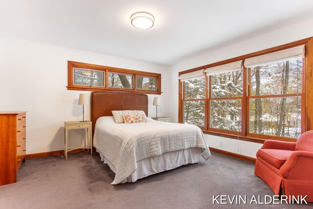 bedroom featuring carpet floors