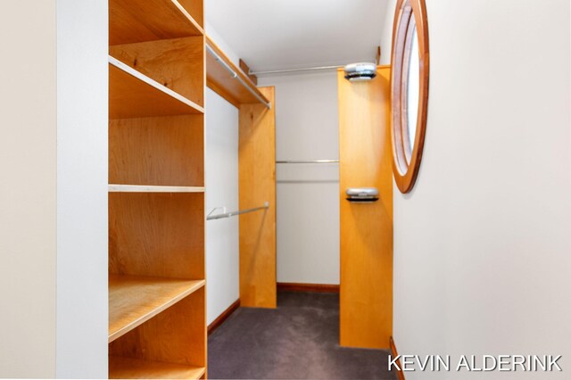 spacious closet with dark colored carpet